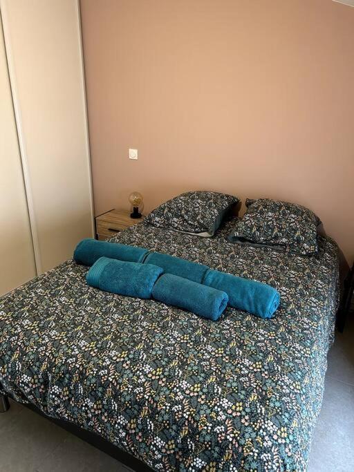 Le Cosy Grenier De Pauline Et Flo Apartment Cessenon-sur-Orb Luaran gambar